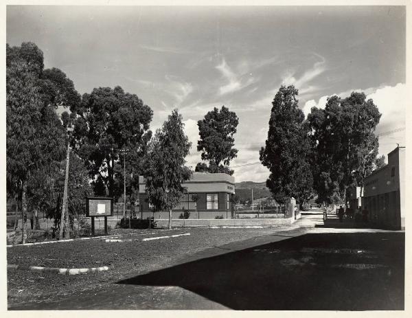 Ribolla - Parco della rimembranza - Viale Guido Donegani