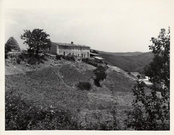 Boccheggiano - Azienda agricola