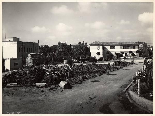 Massa Marittima - Azienda agricola