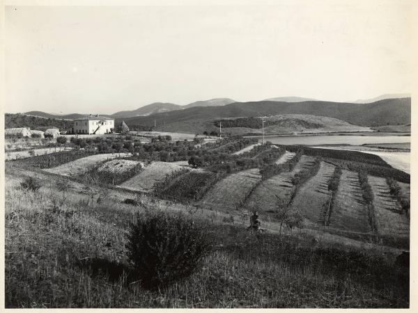 Massa Marittima - Azienda agricola