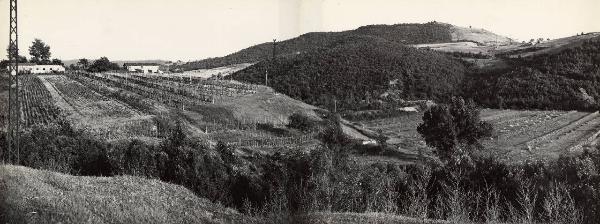 Massa Marittima - Azienda agricola