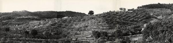 Massa Marittima - Azienda agricola