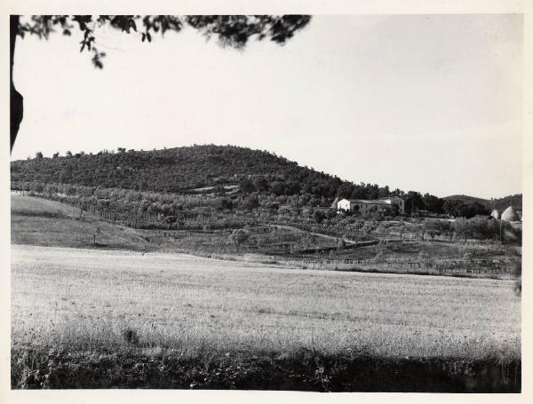 Massa Marittima - Azienda agricola