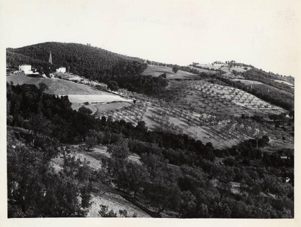 Massa Marittima - Azienda agricola