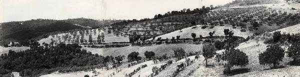 Massa Marittima - Azienda agricola