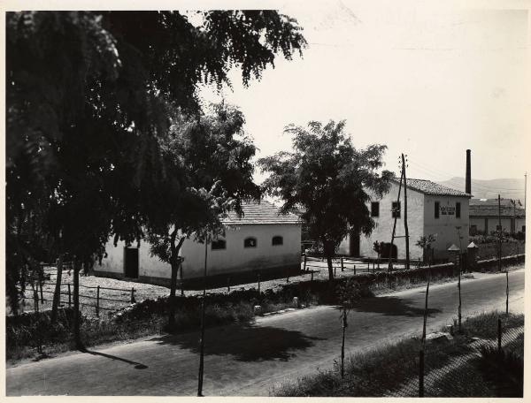 Orbetello - Azienda agricola