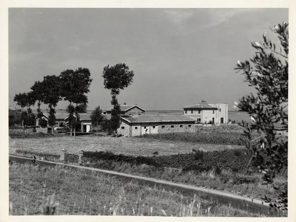 Orbetello - Azienda agricola