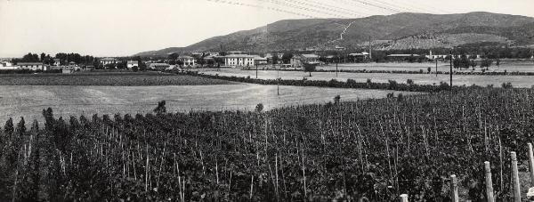 Orbetello - Azienda agricola