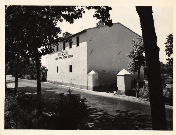 Orbetello - Azienda agricola - Podere Pisana