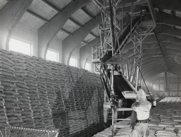 San Giuseppe di Cairo - Stabilimento per il trattamento dell'azoto - Deposito sacchi di concime - Operaio al lavoro