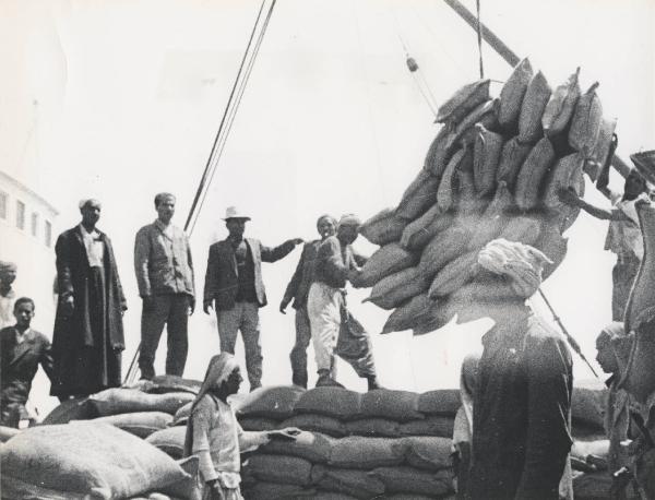 Settore cinematografico - Documentario "L'oro bianco del Nilo" - Alessandria d'Egitto - Porto - Scarico sacchi di fertilizzanti Seifafert