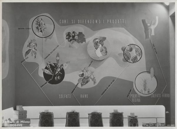 Milano - Fiera campionaria del 1939 - Sala Montecatini - Pannelli espositivi - Funghicidi