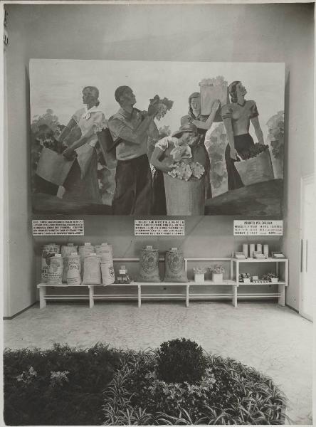 Bari - Fiera del Levante del 1938 - Padiglione Montecatini - Sala prodotti chimici per l'agricoltura