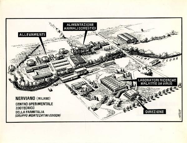 Riproduzione di disegno - Pianta del centro sperimentale zootecnico di Nerviano