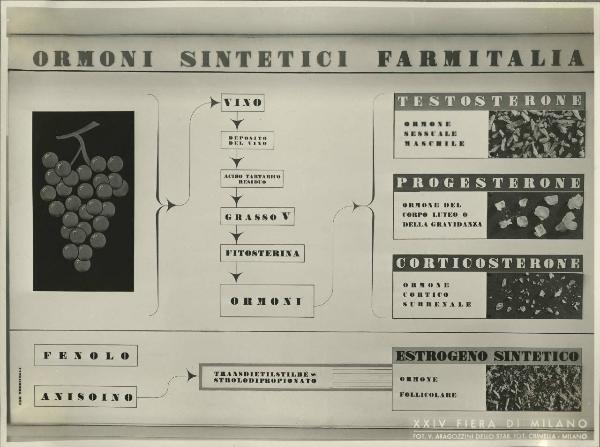 Milano - Fiera campionaria del 1946 - Stand Farmitalia Gruppo Montecatini - Riproduzione grafico ormoni sintetici