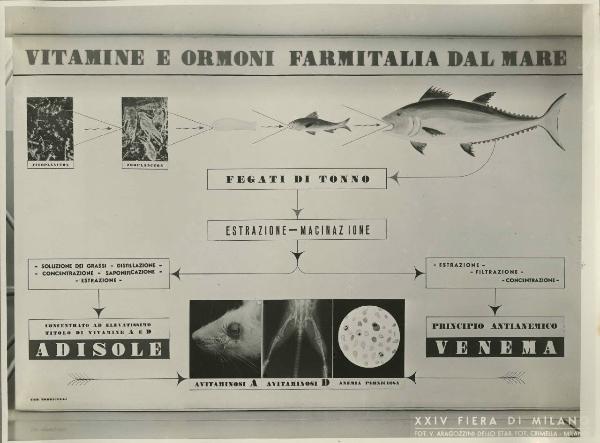 Milano - Fiera campionaria del 1946 - Stand Farmitalia Gruppo Montecatini - Riproduzione grafico vitamine e ormoni dal mare