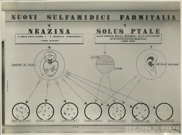 Milano - Fiera campionaria del 1946 - Stand Farmitalia Gruppo Montecatini - Riproduzione grafico dei nuovi sulfamidici Neazina e Solus Ptale