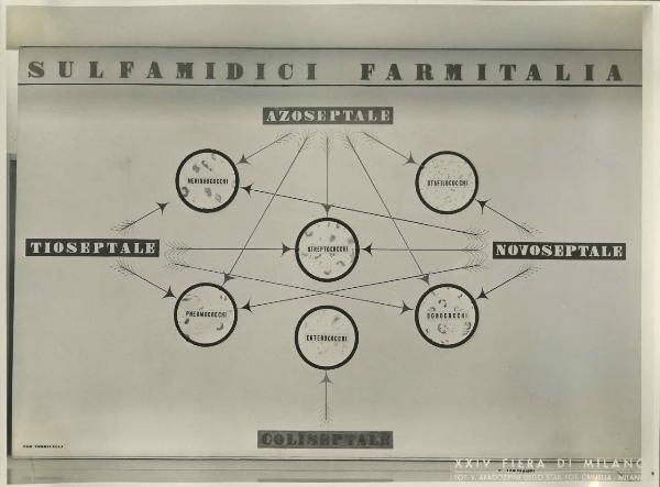 Milano - Fiera campionaria del 1946 - Stand Farmitalia Gruppo Montecatini - Riproduzione grafico sulfamidici