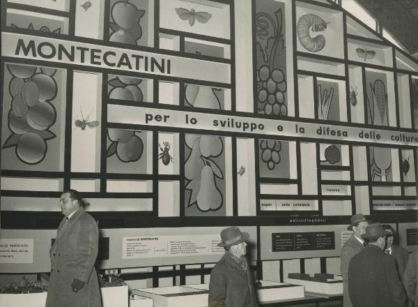 Verona - Fiera dell'agricoltura del 1956 - Stand Montecatini dedicato ai prodotti per l'agricoltura - Pannelli illustrativi