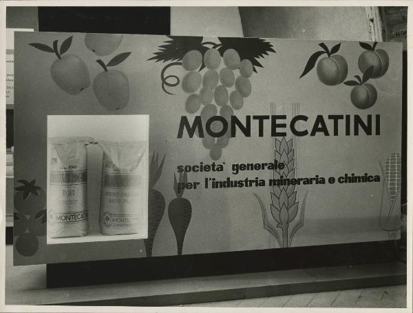 Verona - Fiera dell'agricoltura del 1955 - Stand Montecatini - Pannello