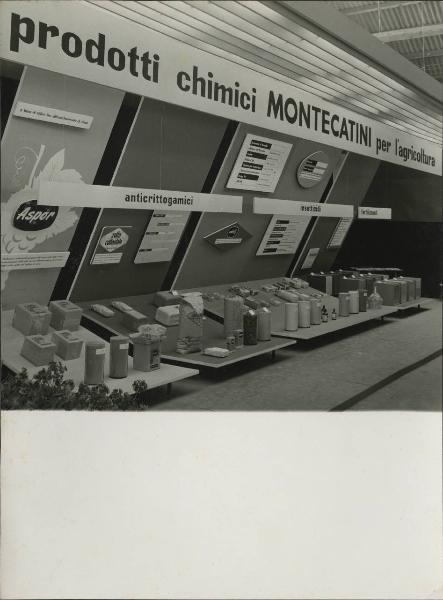 Verona - Fiera dell'agricoltura del 1955 - Stand Montecatini - Esposizione prodotti chimici per l'agricoltura