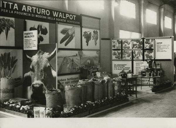 Modena - Fiera - Stand Ditta Arturo Walpot - Esposizione prodotti