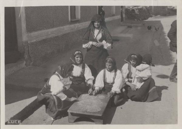 Sardegna - Donne sarde - Cernita del grano