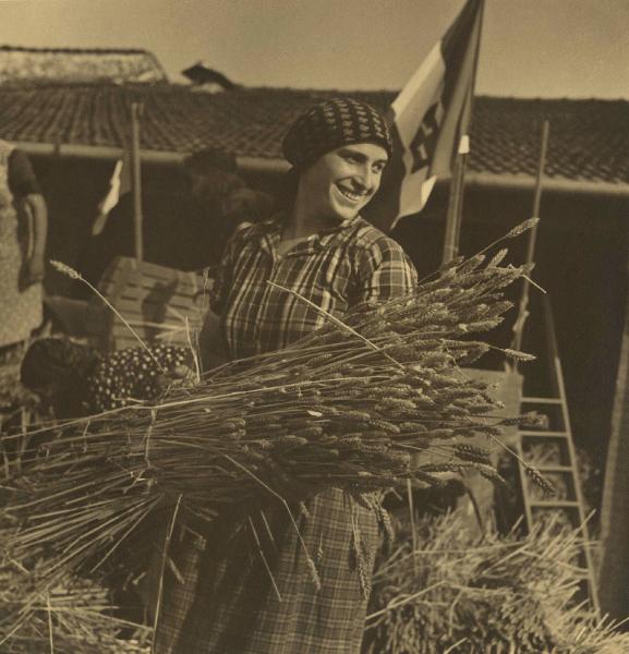 Ritratto femminile - Contadina con fascina di grano