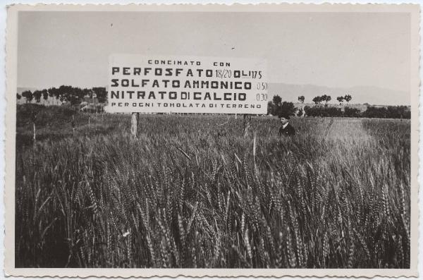 Calabria - Campo dimostrativo - Grano - Cartello