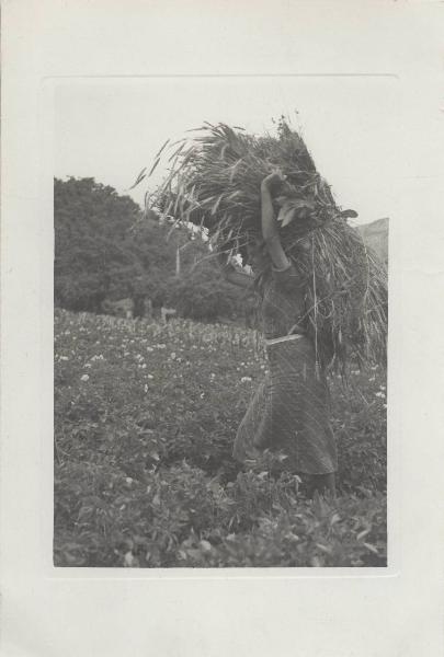 Agricoltura - Contadina - Trasporto fascio di spighe