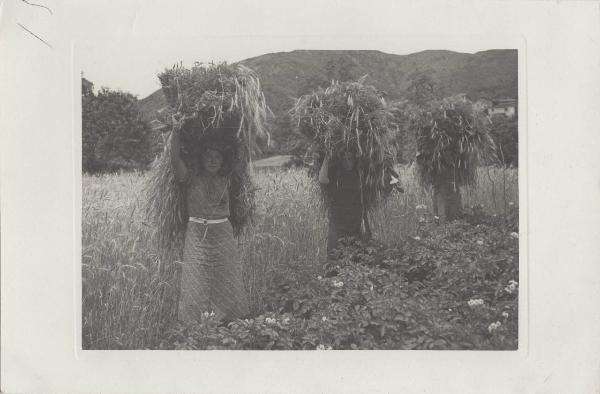 Agricoltura - Contadine - Trasporto fascio di spighe