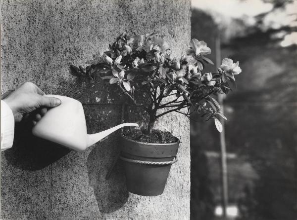 Milano - VERE (Divisione Vendite Resine) - Vaso per fiori e annaffiatoio in Fertene - Annaffiatoio