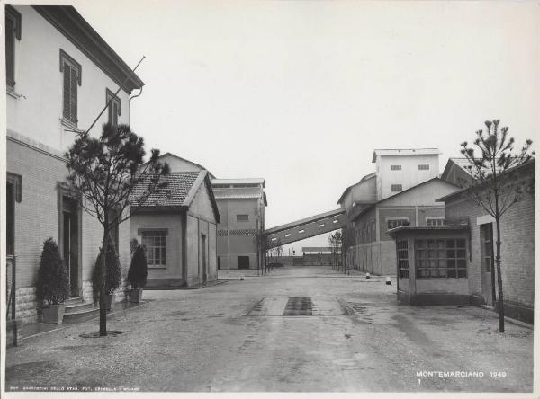 Montemarciano - Divisione prodotti per l'agricoltura (DIPA) - Stabilimento chimico - Ingresso stabilimento