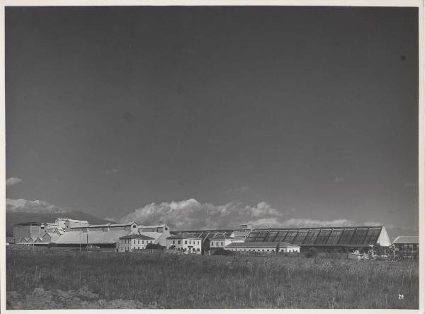 Catania - Stazione Bicocca - Prodotti chimici per l'agricoltura - Stabilimento perfosfato - Veduta panoramica