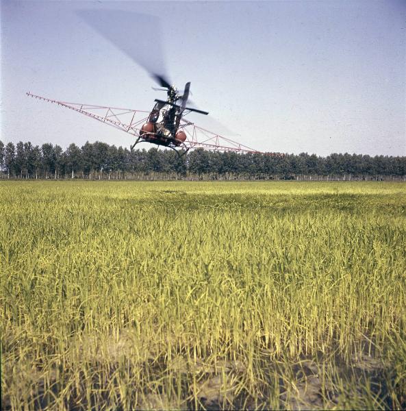 Agricoltura - Lotta antiparassitaria - Trattamento aeragricolo delle colture - Elicottero Agusta Bell 47 G