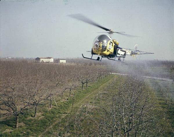 Agricoltura - Lotta antiparassitaria - Trattamento aeragricolo delle colture - Elicottero Agusta Bell 47 G - Spargimento Aspor