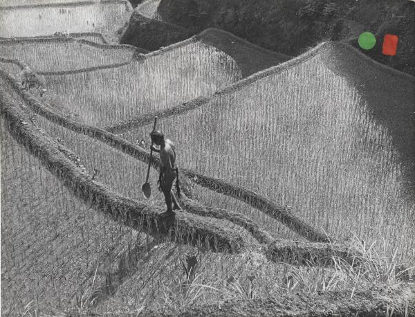 Settore cinematografico - Documentario "Abbastanza per ciascuno" - Filippine - Banaue - Terrazze di riso - Agricoltore