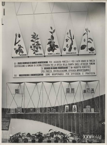 Milano - Fiera campionaria del 1947 - Padiglione Montecatini - [Sala dell'agricoltura?] - Esposizione insetticidi
