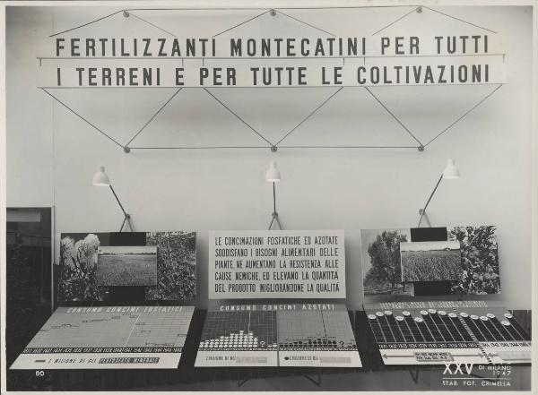 Milano - Fiera campionaria del 1947 - Padiglione Montecatini - [Sala dell'agricoltura?] - Fertilizzanti - Pannelli esplicativi