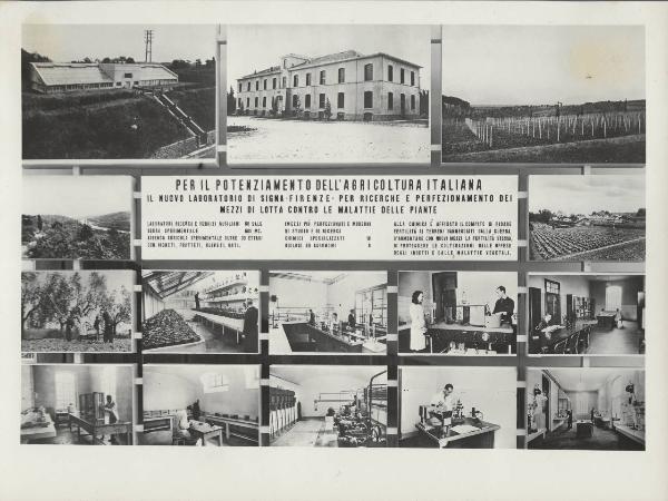 Milano - Fiera campionaria del 1947 - Padiglione Montecatini - [Sala dell'agricoltura?] - Pannelli esplicativi