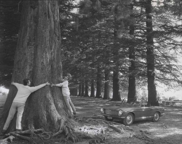 Innocenti - Campagna pubblicitaria - Automobile 950 spider - Bosco - Modelli