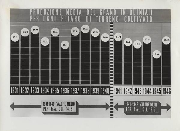 Milano - Fiera campionaria del 1947 - Padiglione Montecatini - [Sala dell'agricoltura?] - Riproduzione tabelle e grafici statistici - Produzione media del grano per ogni ettaro di terreno coltivato