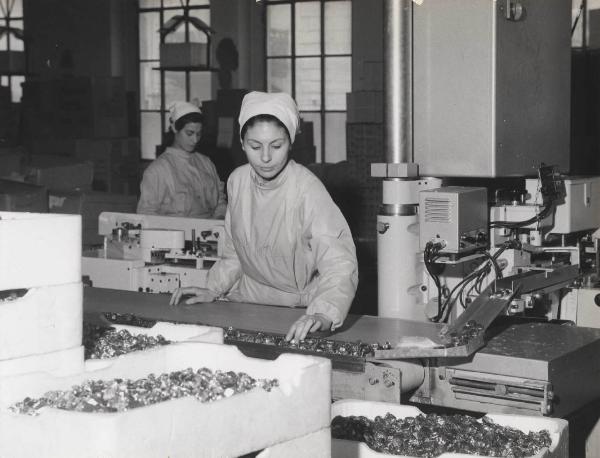 Torino - Chocolat Tobler - Catena di montaggio - Operaia - Cioccolatini confezionati