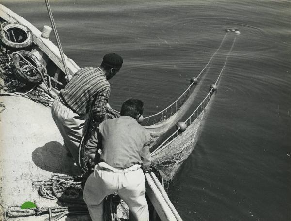 Marina di Ravenna - Fibre sintetiche - Polipropilene - Meraklon - Reti da pesca - Pescatori