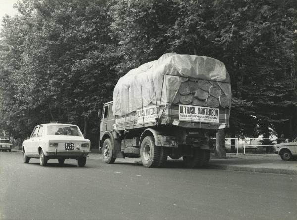 Spinetta Marengo - Ultrasil - Camion per il trasporto dei materiali