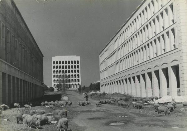 Roma - Quartiere Eur - Palazzo della civiltà italiana - Pastore