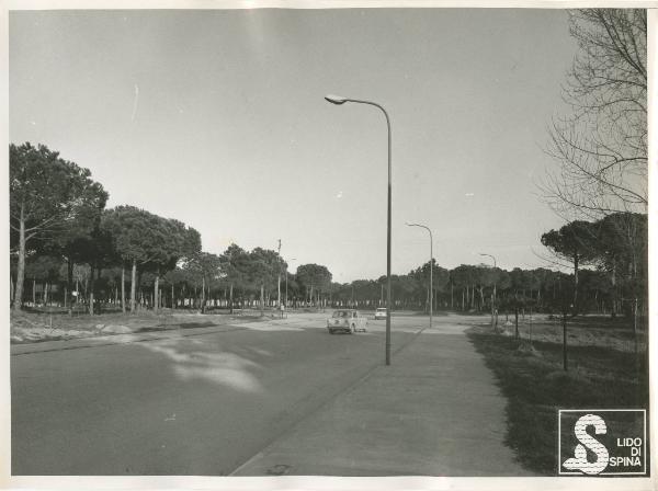 Lido di Spina - Izar Immobiliare - Quartiere giardino Le Valli - Strada - Pineta