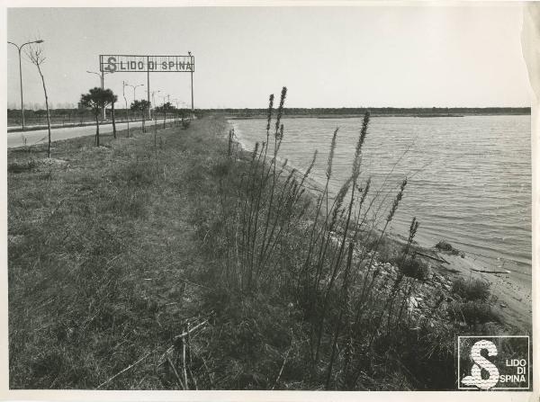 Lido di Spina - Izar Immobiliare - Quartiere giardino Le Valli - Strada di acesso - Scritta "S Lido di Spina"