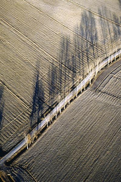 Lombardia - Fertilizzanti - Colture - Veduta dall'alto