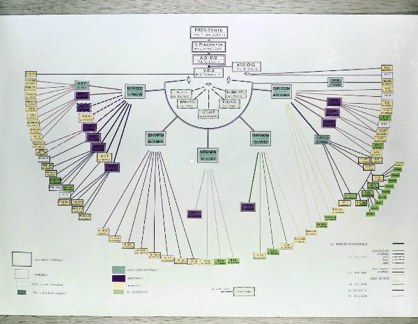 Innocenti - Riproduzione organigramma